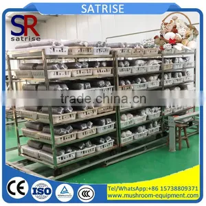 11 L- 5 Tiers Light Duty Chrome Metal Mushroom Growing Rack in Silver thumbnail-1
