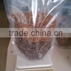 Protein Dried Insects thumbnail-1