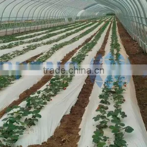 Tunnel Greenhouse for Agriculture thumbnail-3