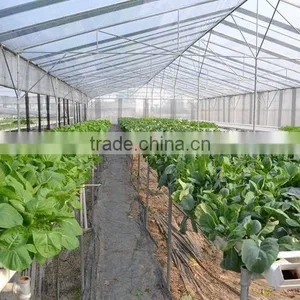 PVC Hydroponics Square Tube Industrial Hydroponic System thumbnail-3