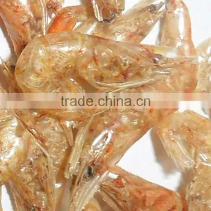 Pet Food AD Shrimp Fish Food thumbnail-1