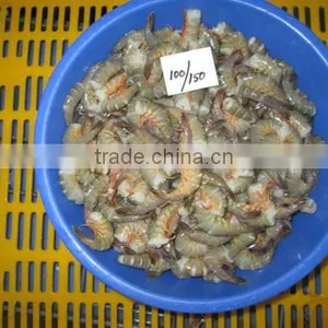 HLSO Karikkadi Shrimps thumbnail-3