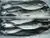 HORSE MACKEREL/ HARDTAIL SCAD/ HARD TAIL SCAD thumbnail-1