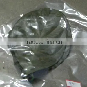 Leaf Preserved thumbnail-1