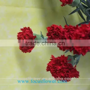 Decorative Flowers Mastor Carnation Flower High Grade Fresh Cut Flowers Wholesale From China Supplier thumbnail-3
