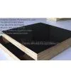 Black Film Faced Plywood thumbnail-1