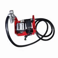 Diesel Transfer Pumps thumbnail-1