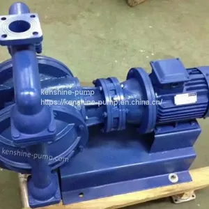 DBY Electric Diaphragm Pump thumbnail-1