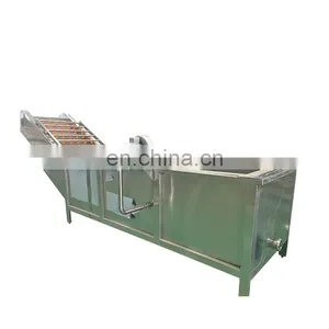 Industrial Fruit and Vegetable Cleaner Washer Bubble Washing Machine thumbnail-1