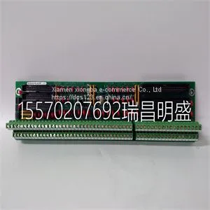 Module Spare Parts DS200TBQDG1AFF thumbnail-1