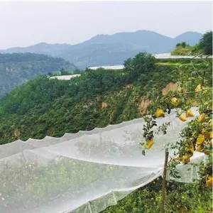 Anti Bird Net for Rice Field thumbnail-3