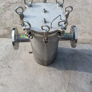 Double Self-cleaning Filter Ylf-219-304-f50-400m Double Bag Filter Pipeline Filter thumbnail-1