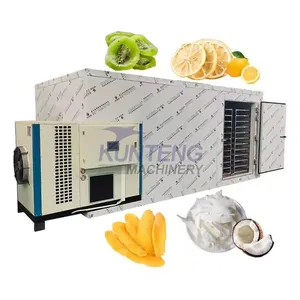 Fruit and Vegetable Drying Processing Machine Grape Raisin Drying Machine Mango Dryer Machine thumbnail-1
