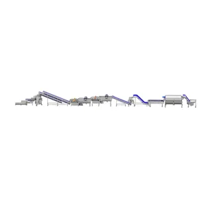 31m Rhizome Processing Line for Food & Pharmaceutical Applications thumbnail-1