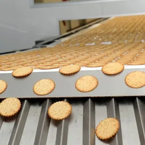 Small Hard Soft Biscuit Packing Line Making Machine Stainless Steel Production Line thumbnail-2