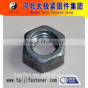 Screw Nut thumbnail-6