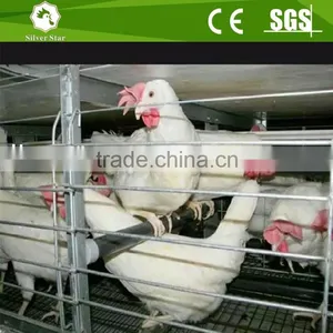 Hot Dipped Galvanized Steel Poultry Sheds Chicken Poultry Cages for Sale thumbnail-2