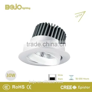 LED Downlight 30W With CE & RoHs Certification, LED Downlights thumbnail-1