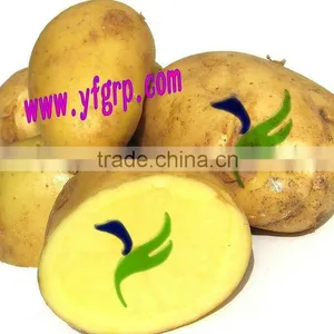 Fresh Potato thumbnail-1