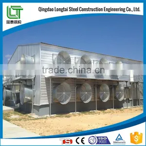 Steel Structure Poultry House and Poultry Farming thumbnail-4