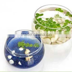 China Suppler Factory Price High Transparent Acrylic Material Fish Tank thumbnail-2