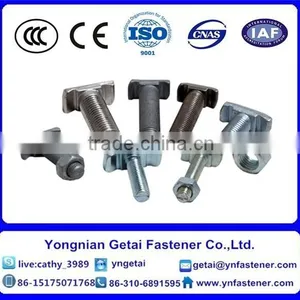 T-head Bolts With Square Neck Bolts , Hot Dip Galvanized (H.D.G) /Galvanized With Black /yellow Zinc Plated/blue White thumbnail-4