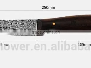 Hot Damast Vegetable Knife, High Quanlity Knife Kitchen Japan thumbnail-3