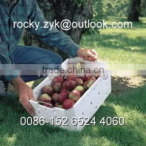 Corrugated PP Apple Packing Case Fruit Storage Carton Packaging Box thumbnail-4