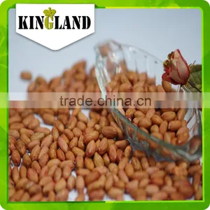 Bulk Peanut Kernel thumbnail-3