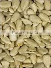 Sunflower Kernels From Factory Sunflower Seeds for Bird Feeding Organic Sunflower Seeds Kernels thumbnail-1