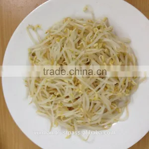 Pickled Mung Bean Sprout Root thumbnail-1