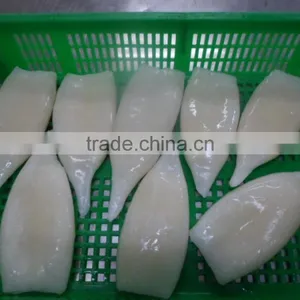 Frozen Squid Tube Fish U5 thumbnail-2