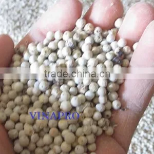 HIGH QUALITY OF BLACK PEPPER thumbnail-2