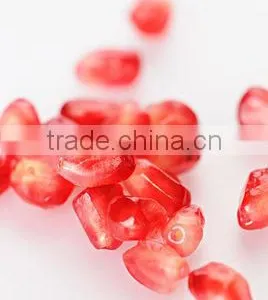 Excellent Pomegranate Extract Powder thumbnail-1