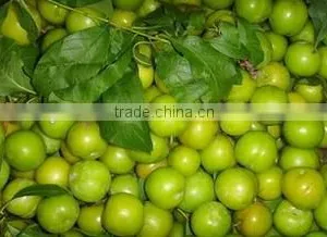 100% Natural Plum Powder ISO, GMP, HACCP, KOSHER, HALAL Certificated thumbnail-1