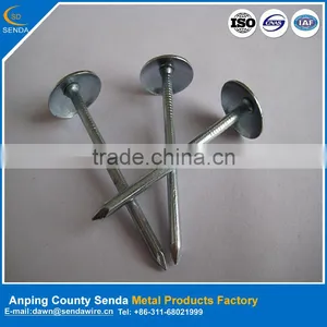 Construction Roofing Nails/ Galvanized Building Nails thumbnail-1