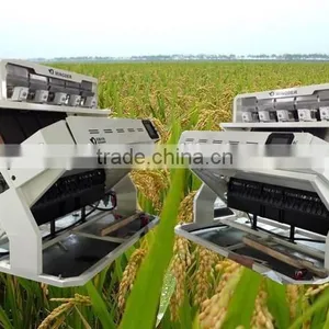 Color Sorting Machine,High Purity RiceColor Sorting Machine, Rice, Beans, Cereal, Nuts Color Sorter thumbnail-4