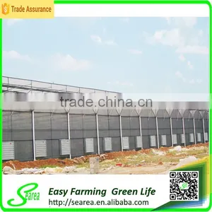 Commercial Greenhouse for Sale thumbnail-3
