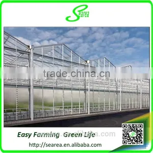Venlo Greenhouse With Alternating Vents thumbnail-4