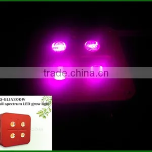 Hot Products 2017 New 300w Led Grow Light,led Cob Grow Light for Greenhouse Plant thumbnail-4