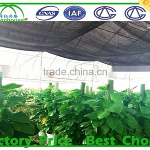 Vegetable Growing Intelligent Glass Greenhouse thumbnail-6