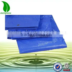 Plastic Weave Water Proof Tarpaulin for Irrigation thumbnail-2