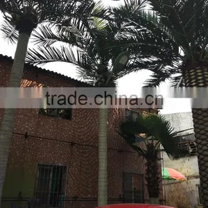 CHY020902 Solar LED Outdoor Landscaing Light up Palm Tree Plant/Lamp Tree thumbnail-2