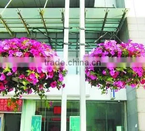 SOL 2015 Environment-friendly Factory Price Hanging Ball Planters thumbnail-1