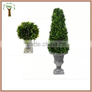 Natural Preserved Boxwood Cone Topiary Producer thumbnail-4