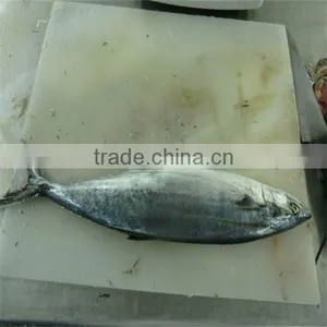 New Season Freezing Marinated Fish thumbnail-1