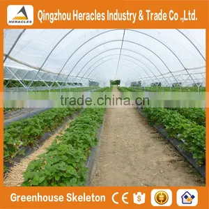 Heracles Trade Saaurance Good Quality Green House Plastic Film for Agricultural thumbnail-3