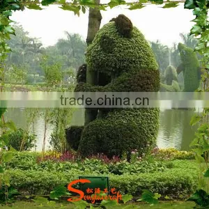2015 Best Selling Various Shapes Artificial Panda Topiary Decorative Panada Topiary thumbnail-3