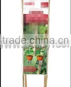 U-hoop Bamboo Poles Baoboo Canes for Agriculture thumbnail-6
