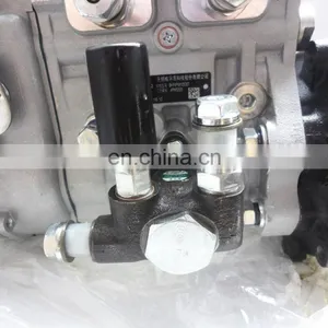 Fuel Injection Pump BHF4PW105007,4102EZL-A.16.10,4PWS503,V1300001 thumbnail-2